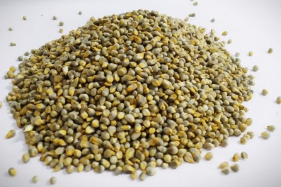 Food Grains Icon