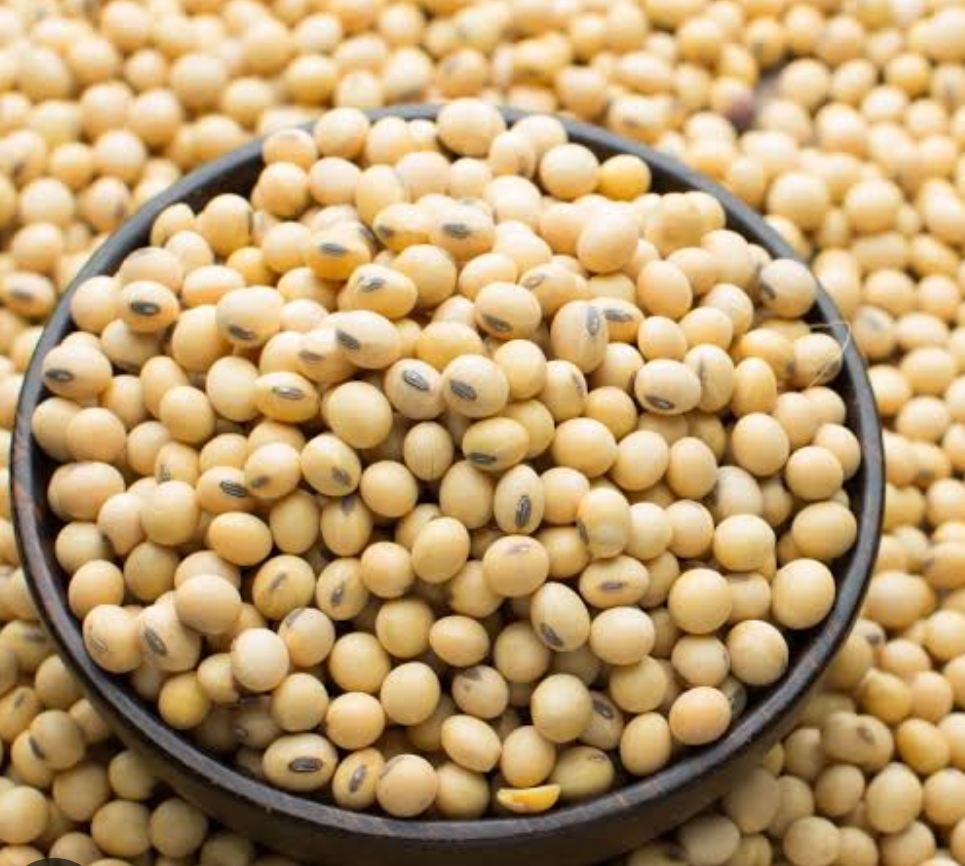 Food Grains Icon